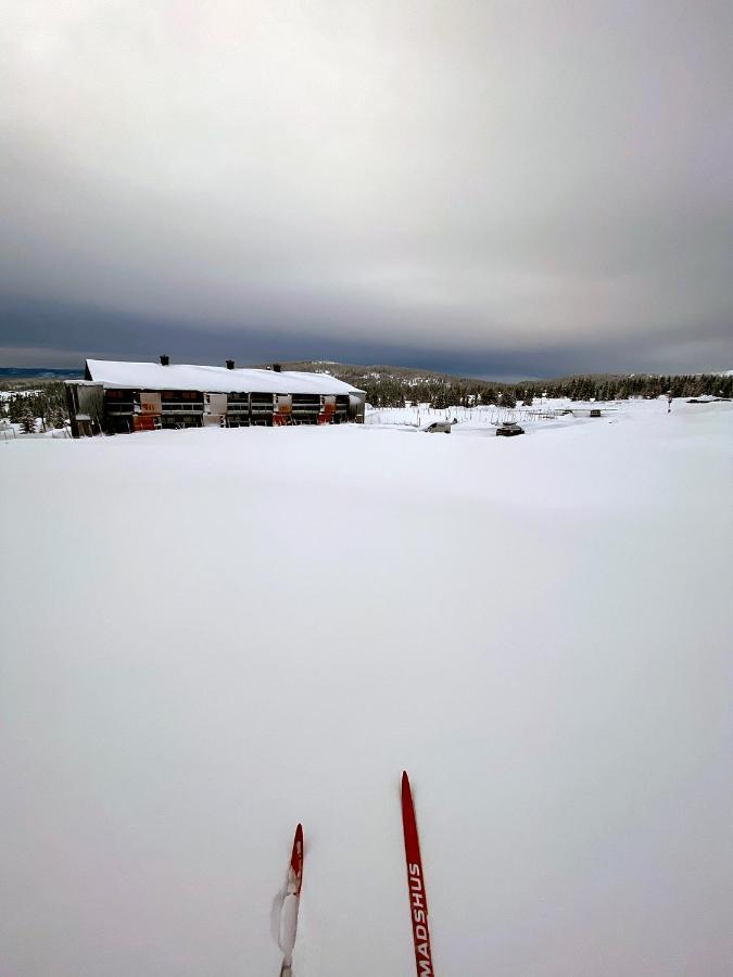 Lys Og Moderne Leilighet Rett Ved Skiloypa Pa Nordseter - Kort Vei Til Sjusjoen, Lillehammer Og Hafjell - Dyr Ikke Tillatt Экстерьер фото