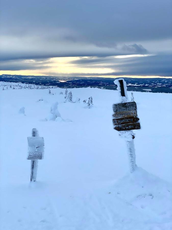 Lys Og Moderne Leilighet Rett Ved Skiloypa Pa Nordseter - Kort Vei Til Sjusjoen, Lillehammer Og Hafjell - Dyr Ikke Tillatt Экстерьер фото